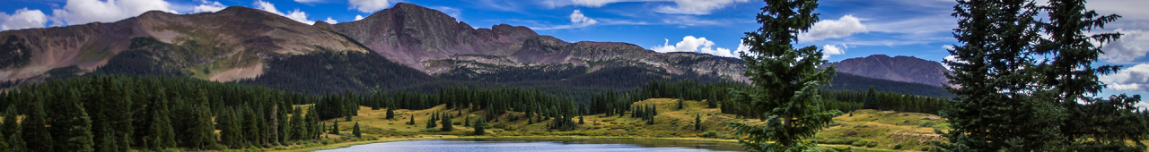 Page Banner